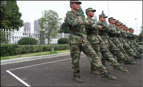 image003.gif